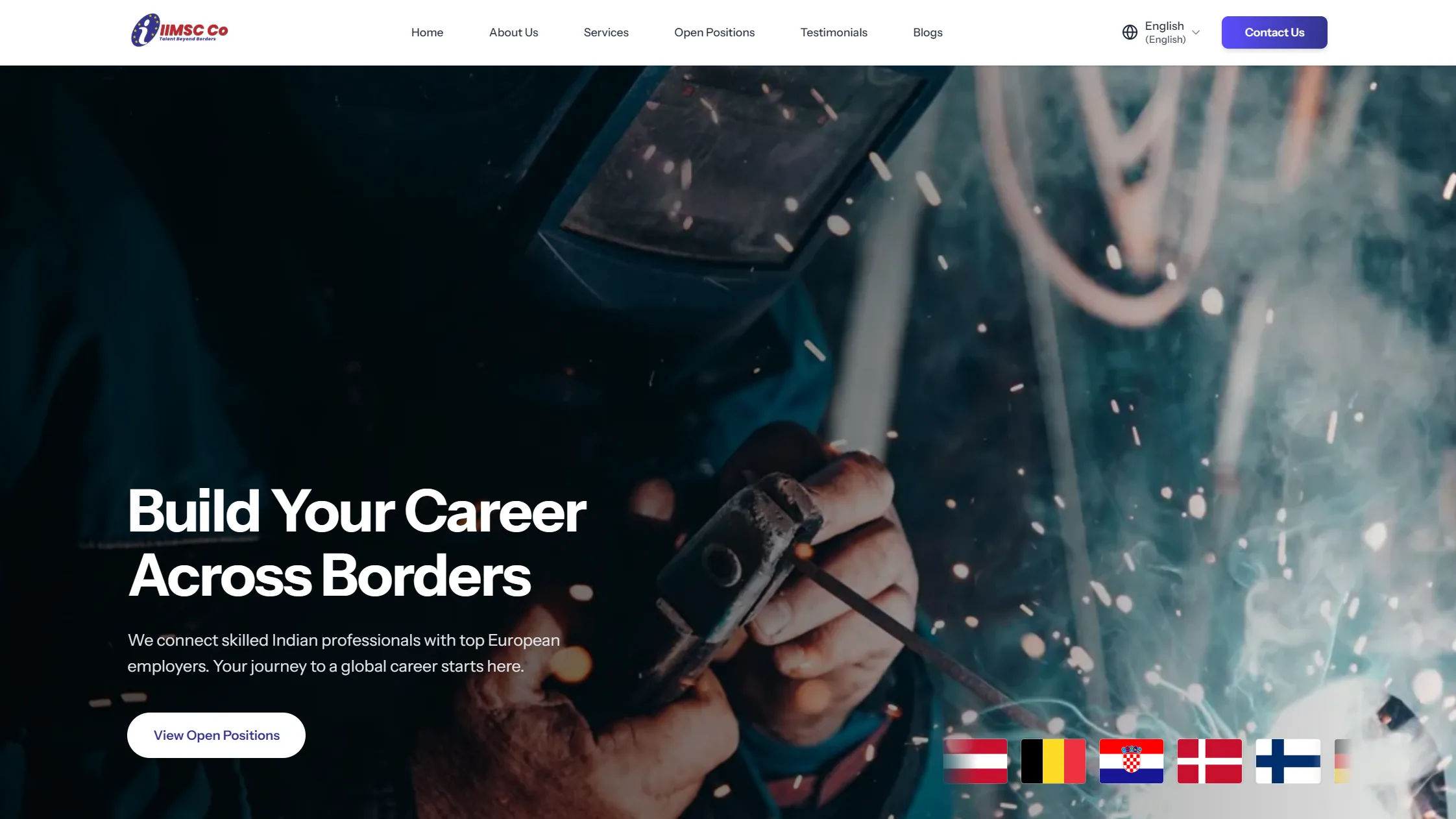 II-Msc — project overview